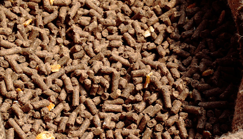 Animal Feed Mill Rolls