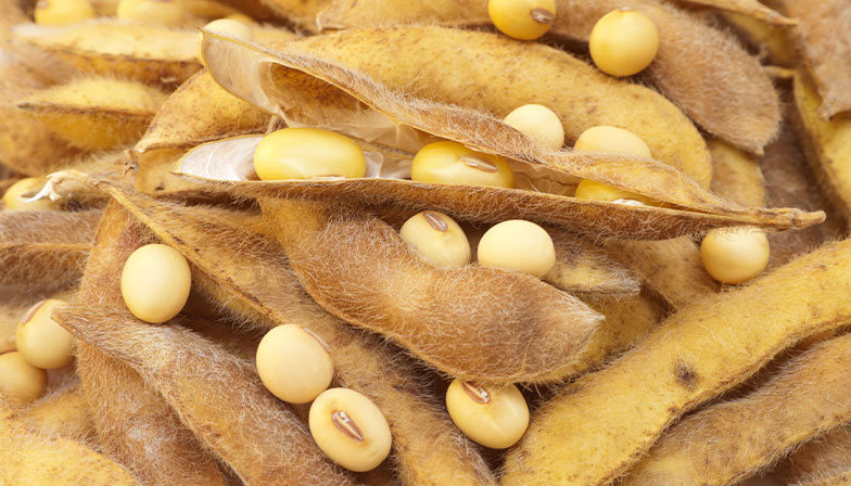 Cracker Rolls for Oil Industry